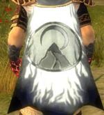 Guild Midnight Saints cape.jpg