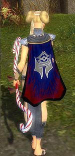 Guild The Titanium Knights cape.jpg