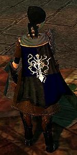 Guild Saints Of Avalon cape.jpg