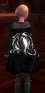 Guild Warrior Sages cape.jpg