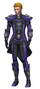 Elementalist Elite Stoneforged armor m.jpg