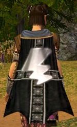 Guild The Blitzers Guild cape.jpg