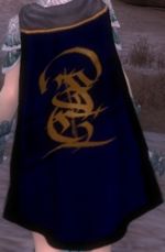 Guild The Seraphim Knights cape.jpg