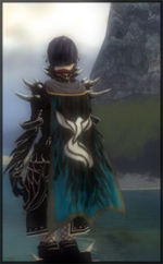 Guild Circle Of Polish Bards cape.jpg