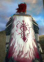 Guild The Uncanny Slaughterers cape.jpg