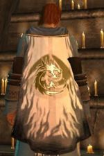 Guild Herz Gesinnung Geist cape.jpg