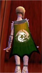 Guild Guild Of Driantis cape.jpg