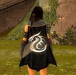 Guild Scarlet Robotica cape.jpg