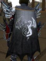 Guild Broken Lights In Darkness cape.jpg