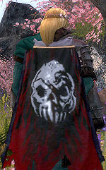 Guild The Slaughter House cape.jpg