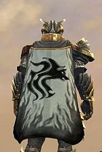 Guild Brotherhood Of The Tiger cape.jpg