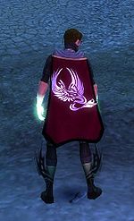 Guild Project Guardian cape.jpg