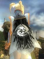 Guild Guardians Of The Black Dragon X cape.jpg