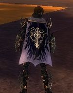 Guild The Zodiac Lords cape.jpg