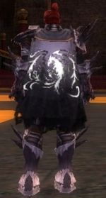 Guild Immortal Souls Legends cape.jpg