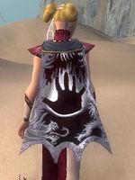 Guild Rage Team (historical) cape.jpg