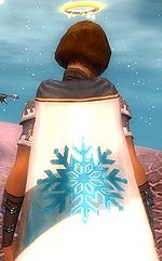 Guild Whispering Snow Angels cape.jpg