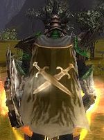 Guild Inmortal Wariors cape.jpg