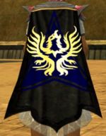 Guild Team Nighthawk cape.jpg