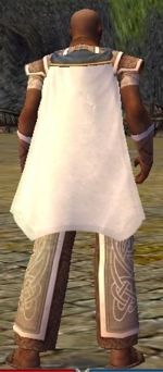 Guild Obscure Monks Foremost Guild cape.jpg