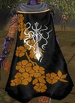 Guild Freak Fighters cape.jpg