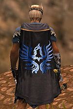 Guild The Mystic Writers cape.jpg