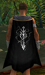 Guild Twilight Vampire Eclipse cape.jpg