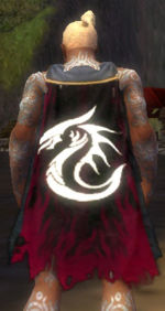 Guild The White Dragon Clan cape.jpg