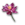 Iboga Blossom.png