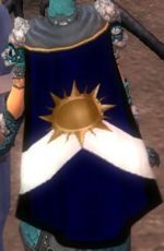 Guild Silvite Warriors cape.jpg