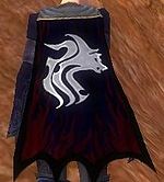 Guild Wolves Brotherhood cape.jpg