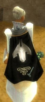 Guild Assassins Of Judgement cape.jpg