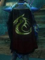 Guild Knights Of Archelypse cape.jpg