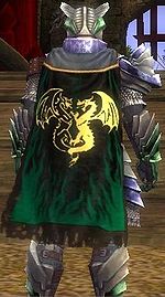 Guild Desciples Of The Sacred Oath cape.jpg