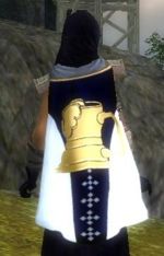 Guild Kurzick Elite Guard Sodality cape.jpg