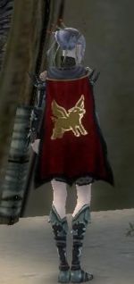 Guild Levrier De Lumiere cape.jpg