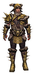 Warrior Elite Charr Hide armor m.jpg