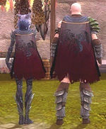 Guild Altruistic Guardian Of Darkness cape.jpg