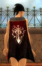 Guild Black Star Warriors cape.jpg