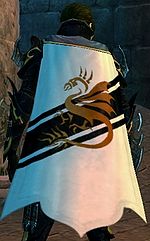 Guild Solar Flux cape.jpg