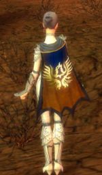 Guild The Cheezits cape.jpg