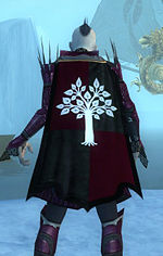 Guild The Doyen Council cape.jpg