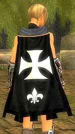 Guild Knights Hospitalier cape.jpg