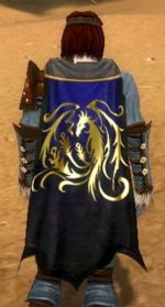 Guild Shadow Of Exodus cape.jpg