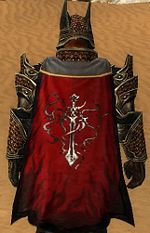 Guild Crusaders Of Fortune cape.jpg