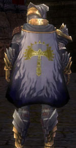 Guild Non Mihi Solum cape.jpg