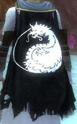 Guild Yendors Elite Ninjas cape.jpg