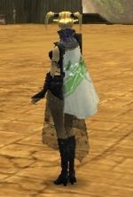 Guild The Old Folks cape.jpg