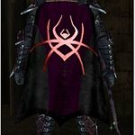 Guild Spiderae Noctem cape.jpg