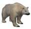 Polar Bear2.png